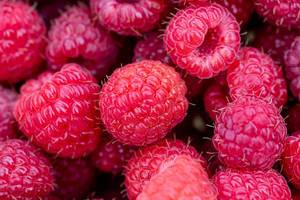 Fresh ripe raspberry background