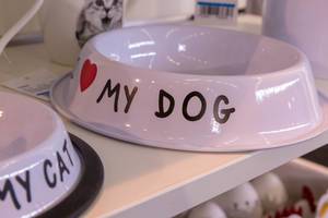 Fressnapf für Haustiere mit "I love my dog" Schriftzug