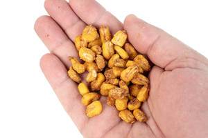 Fried Corn in the hand above white background (Flip 2019)