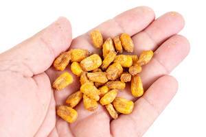 Fried Salty Corn in the hand