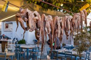 Frisch gefangene Oktopusse hängen auf Seil vor Restaurant auf der Insel Paros, Griechenland