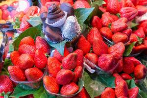 Frische Erdbeeren (mit Schokoüberzug) am Marktstand der überdachten Markthalle Mercat de la Boqueria in Spaniens Hauptstadt Barcelona