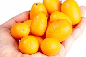 Frische, reife Kumquats in einer Frauenhand