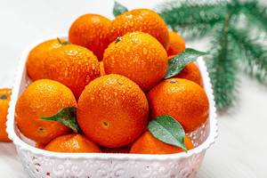 Frische reife Mandarinen mit Wassertropfen und Tannenzweigen im Hintergrund