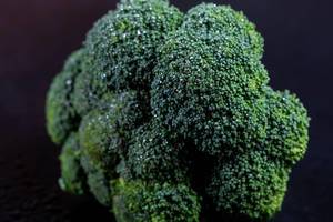 Frischer Broccoli in der Nahaufnahme