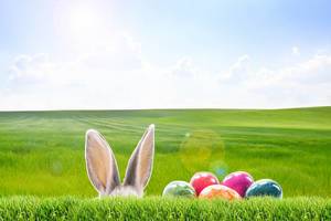 Frohe Ostern am 31.03.2024
