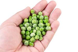 Frozen Green Peas in the hand