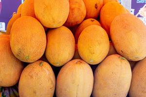 Ganze, goldgelbe Galia-Melonen liegen an Marktstand zum Verkauf bereit
