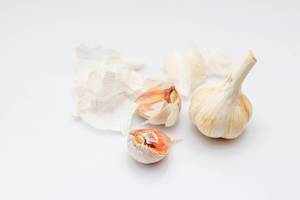 Garlic on a White Background