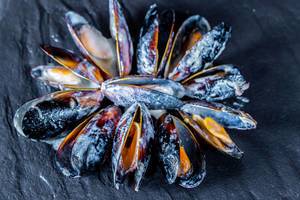Gekochte schwarze Muscheln schön angerichtet mit Soße vor dunklem Hintergrund