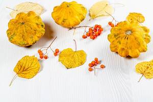 Gelbe Blätter, Kürbisse und getrocknete Vogelbeeren auf einem Holztisch