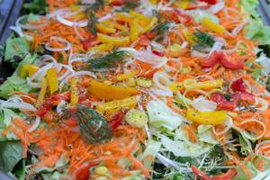 Gemüseplatte: Karotte, Paprika, Zwiebel, Eiskopfsalat, Rukola, Dill