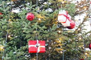 Geschmückter Weihnachtsbaum am Weihnachtsmarkt am Kölner Dom