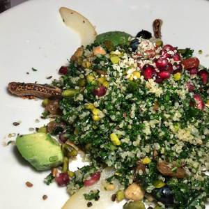 Gesunder, veganer Salat mit Grünkohl, Avocado, Quinoa, Gojibeeren, Hanfsamen, Granatapfel und Datteln