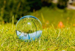 Glass ball laying in grass