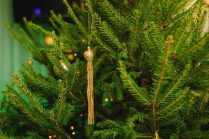 Goldene Dekoration in einem Weihnachtsbaum