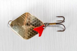 Goldene Metallspitze zum Spinnen & Fangen von Raubfischen