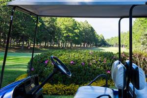 Golf cart in front of golf course