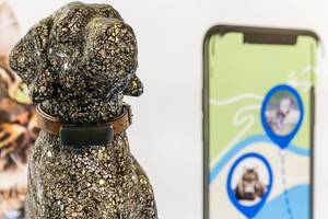 GPS-Hundehalsband für Haustiere: Ortungsgerät bestimmt den Aufenthaltsort in der tractive Smartphone-App