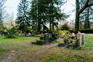 Grabumfassungen und blühende, farbenfrohe Grabbepflanzung auf dem Friedhof in Potsdam