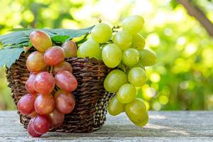 Grapes in a wicker basket on an old wooden table on a blurred background of nature