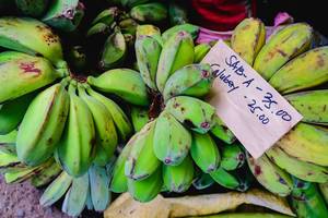 Green bananas on sale in a local farm market