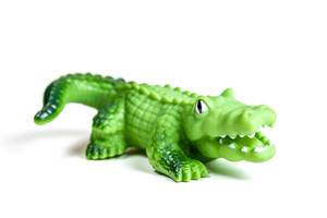 Green crocodile toy on white background