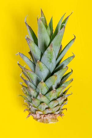 Green pineapple leaves on yellow background