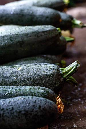 Green zucchini with drops of water lying on the ground