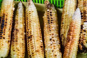 Grilled corn on green container