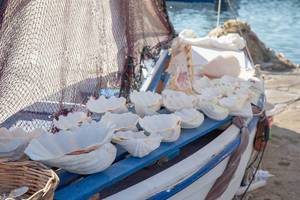 Große, weiße Muscheln liegen auf einem alten Boot am Strand von Paros, Griechenland
