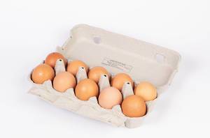 Großer Eierkarton gefüllt mit 10 rohen Hühnereiern vor weißem Hintergrund