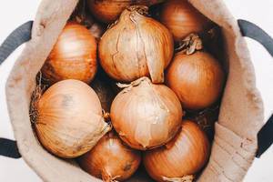 Group of onions in a sack. Top view