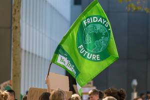 Grüne Fridays for Future Fahne überragt die Demonstranten