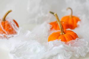 Halloween: Kürbisse eingehüllt in Spinnenweben