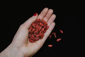 hand holding dried goji berries isolated on black background in studio