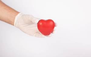 Hand mit Latexhandschuh / Einmalhandschuh hält ein rotes Herz, vor weißem Hintergrund