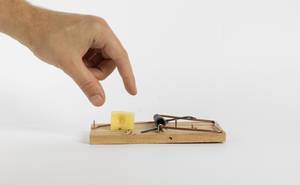 Hand reaching for cheese in a mousetrap