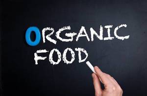 Hand schreibt das Wort "Organic Food" - Bio-Lebensmittel - mit Kreide auf eine schwarze Tafel