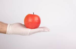 Hand with gloves holding red apple