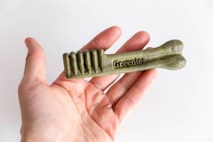 Hand zeigt Greenies getreidefreie Zahnpflege-Kausnacks zur täglichen Zahnreinigung für Hunden