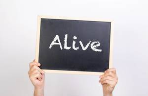 Hände halten eine Kreidetafel hoch, mit dem Text "Alive" - Am Leben