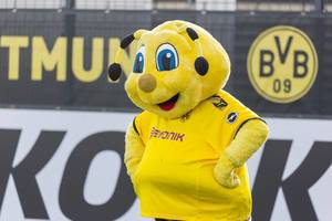 Happy mascot bee Emma from BVB 09 at training field