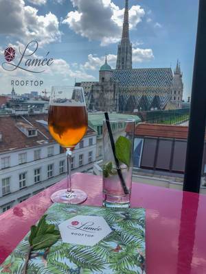 Having a drink at Lamee Rooftop Bar in Vienna. Looking at St. Stephen