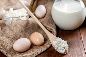 Healthy food-milk, cottage cheese, eggs  Flip 2019