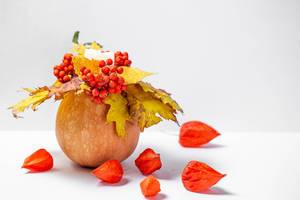 Herbst - ein Kürbis mit einer leuchtenden Kerze, gelben Blättern, roten Beeren und Physalis auf weißem Hintergrund