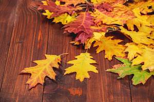 Herbstlaub auf braunem Holz-Hintergrund