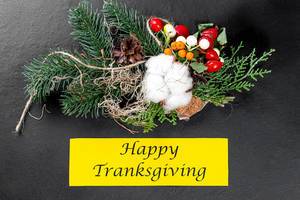 Herbstlicher Tannenzweig mit bunten Früchten und Happy Thanksgiving Schriftzug