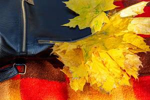 Herbststimmung: Rücksack mit gelben Ahornblättern auf bunter Decke