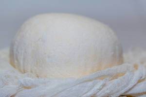 Herstellung von Hüttenkäse vor weißem Hintergrund